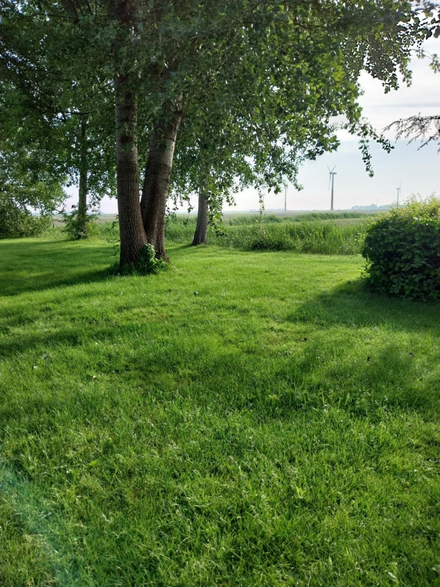 Willa Wad Fijn Sexbierum Zewnętrze zdjęcie
